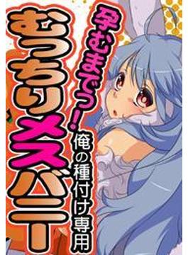 孕むまでっ！俺の種付け専用むっちりメスバニー(ぷるるんＭＡＸ)