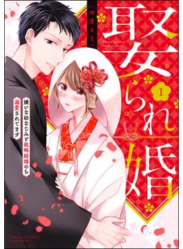 娶られ婚 嫌いな幼なじみと政略結婚のち溺愛されてます(無敵恋愛S*girl)