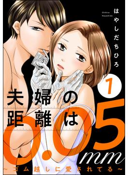夫婦の距離は0.05mm ～ゴム越しに愛されてる～(ストーリーな女たち)