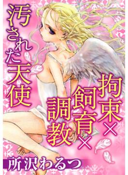 拘束×飼育×調教　汚された天使(メンズ宣言)