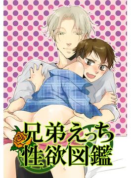 兄弟えっち性欲図鑑