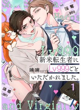 新米転生者にLv999ごといただかれました。(Continuer.)