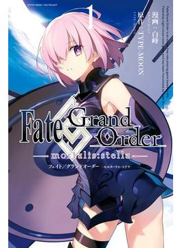 Fate/Grand Order -mortalis:stella-(ＺＥＲＯ-ＳＵＭコミックス)