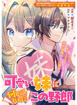 可愛い妹に何してくれんだこの野郎(ＺＥＲＯ-ＳＵＭコミックス)