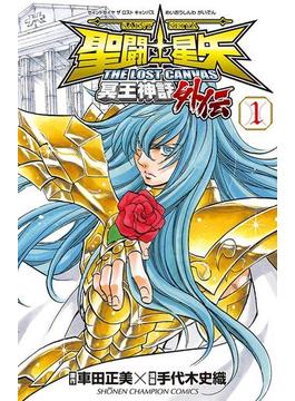 聖闘士星矢 THE LOST CANVAS 冥王神話外伝(少年チャンピオン・コミックス)