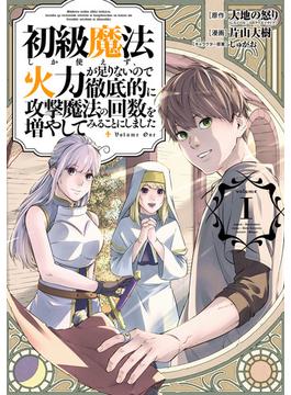 初級魔法しか使えず、火力が足りないので徹底的に攻撃魔法の回数を増やしてみることにしました(ガンガンコミックスＵＰ！)