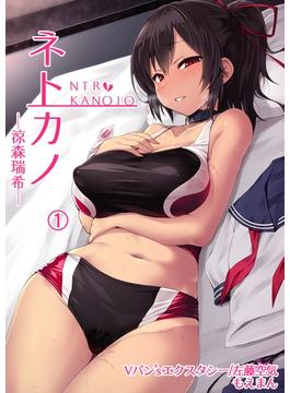 ネトカノ―涼森瑞希―