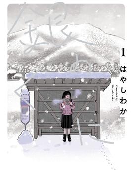 銀のくに(ヒーローズコミックス ふらっと)
