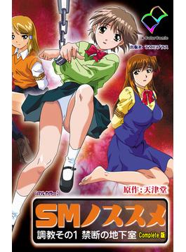 SMノススメシリーズ(e-Color Comic)