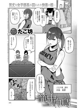 籠中の白鳥(comicアンスリウム)