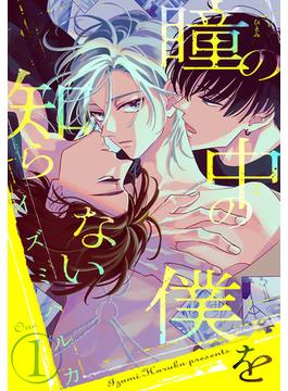 瞳の中の僕を知らない(花丸コミックス)