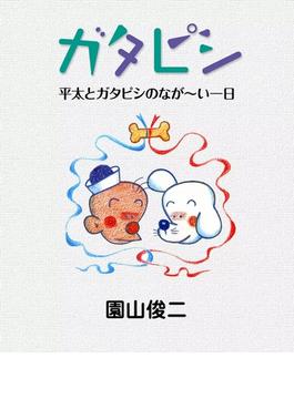 ガタピシ