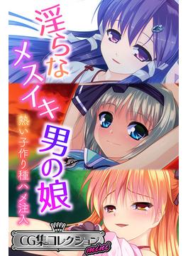 淫らなメスイキ男の娘 ～熱い子作り種ハメ注入～【CG集コレクション ミニ】(大人のSEXY絵本)