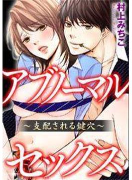 アブノーマル・セックス～支配される鍵穴～