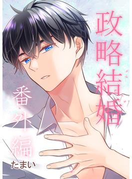 政略結婚　番外編