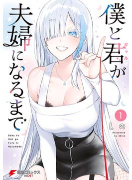僕と君が夫婦になるまで(電撃コミックスNEXT)