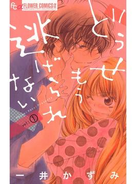 どうせもう逃げられない(フラワーコミックスα)