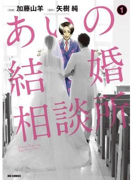 あいの結婚相談所(ビッグコミックス)